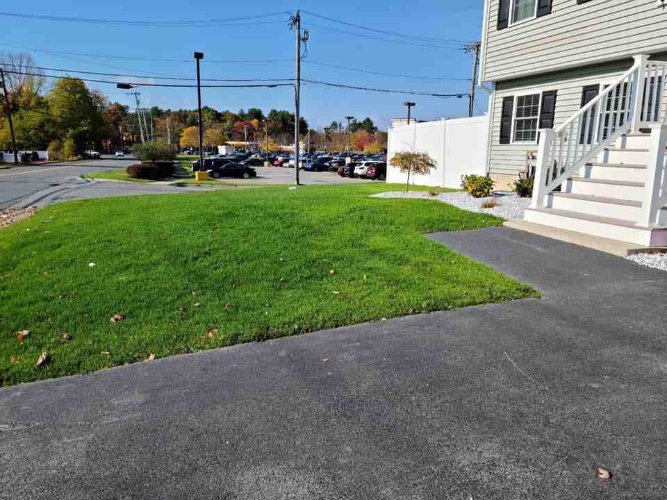 All About Lawn Care Services in MA: Your Complete Guide