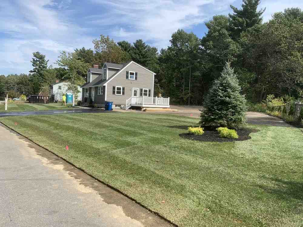 Expert Tips for Lawn Mowing in Andover, MA